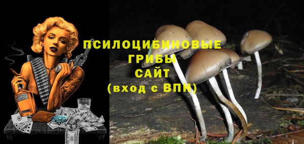 спайс Кулебаки